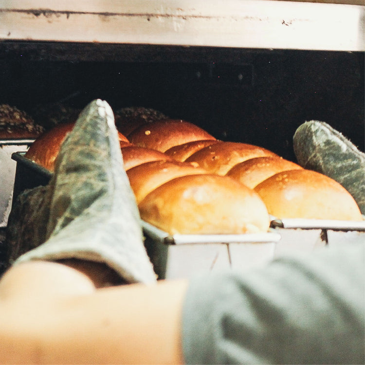Suculenta - Institucional, Pan hamburguesa brioche