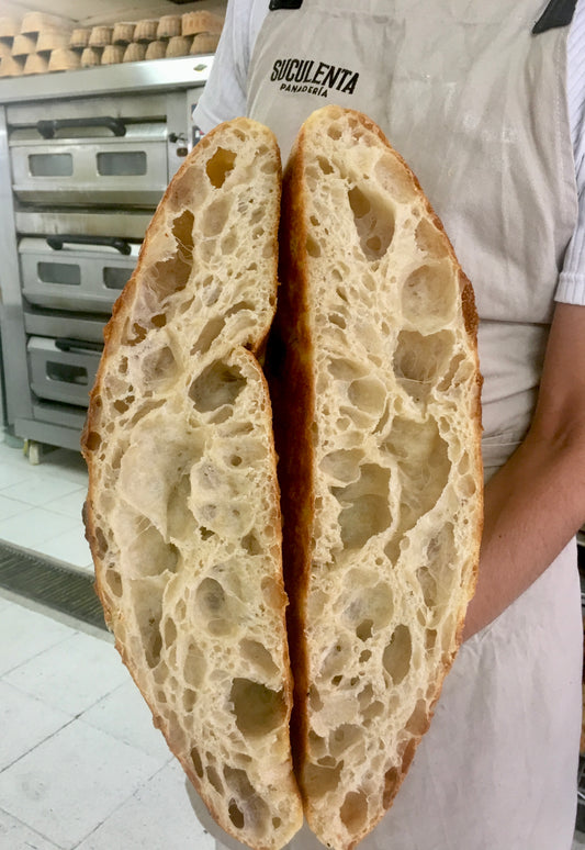Plancha Focaccia Institucional