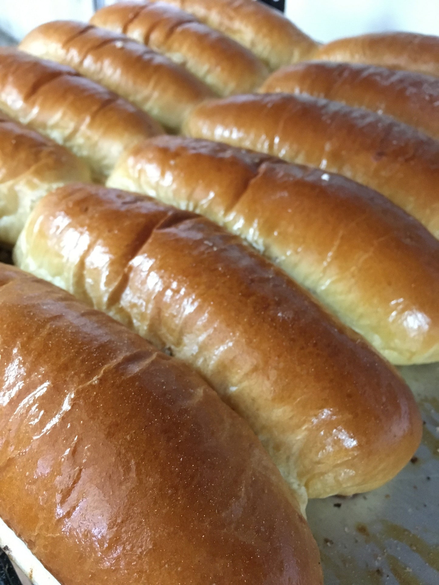 Pan Perro Brioche Institucional 18cms