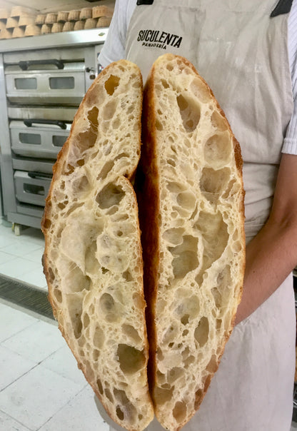 Plancha Focaccia Institucional