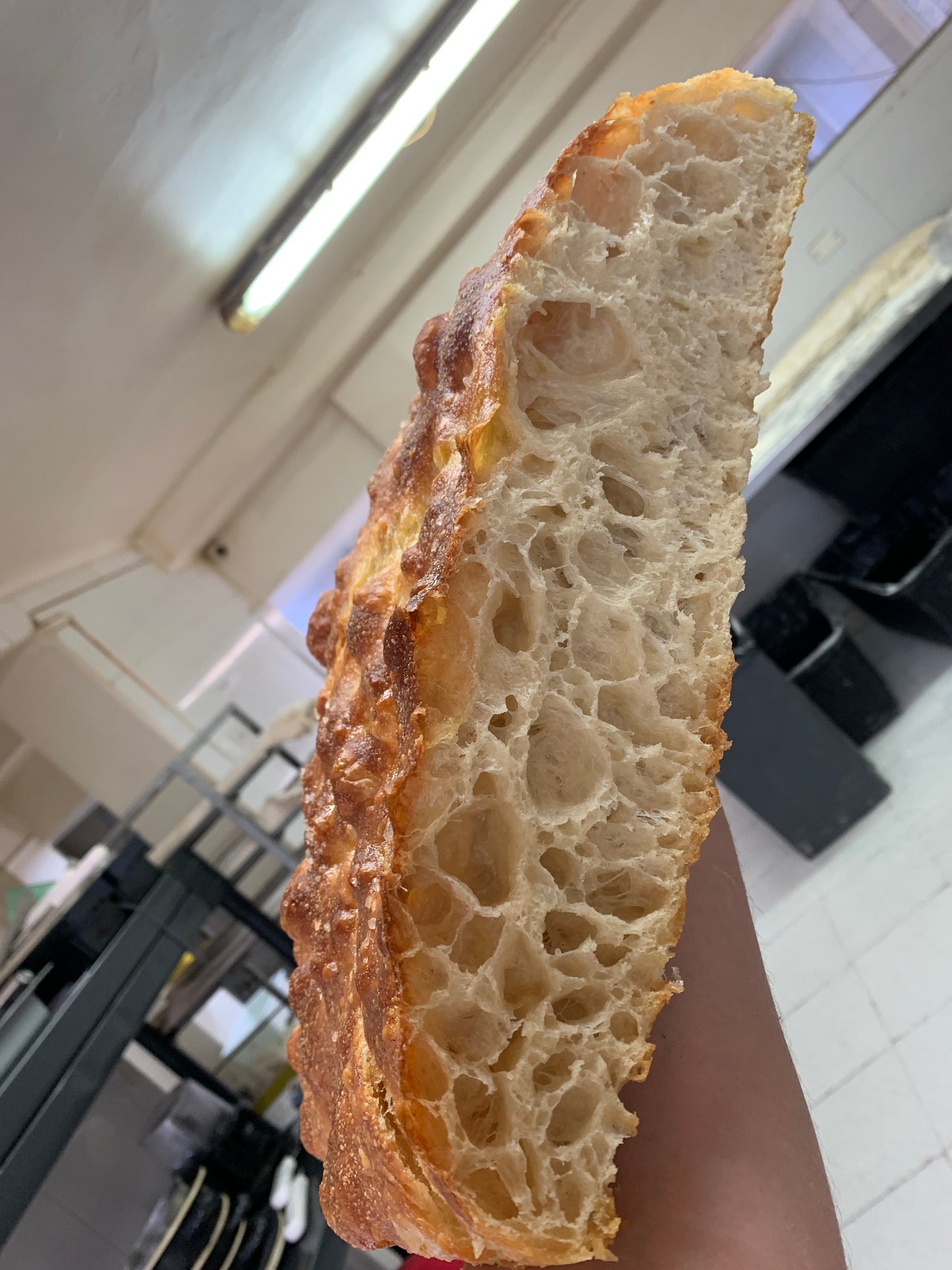 Plancha Focaccia Institucional