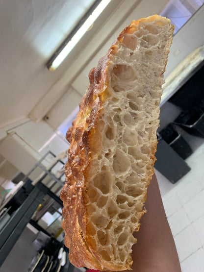 Plancha Focaccia Institucional