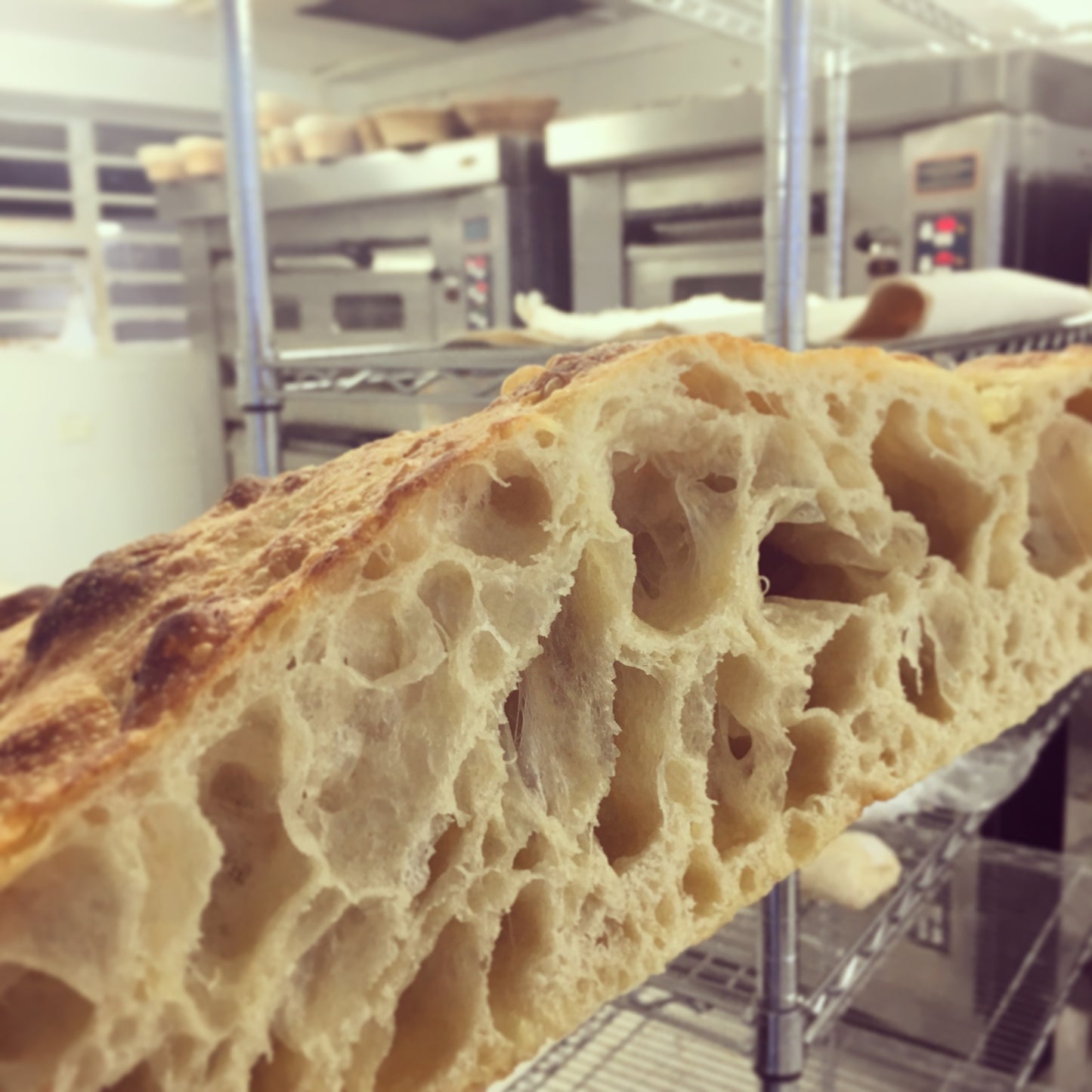 Plancha Focaccia Institucional