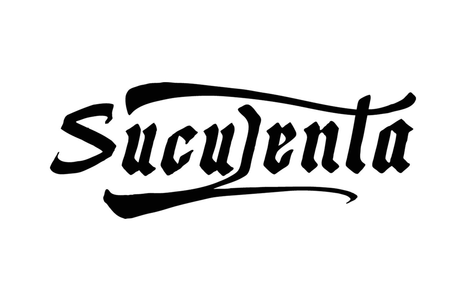 sr-bagel-suculenta-panader-a