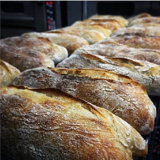 Pan ciabatta x 6 unidades